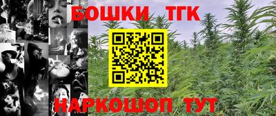 крисы Заводоуковск