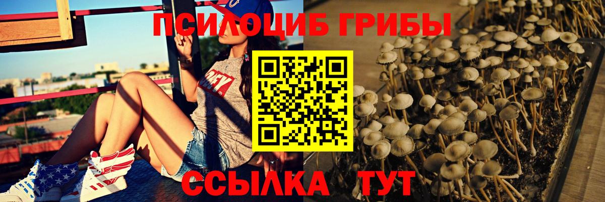 Галлюциногенные грибы Psilocybine cubensis  Вход с VPN  Лесной  где купить   Галлюциногенные грибы прущие грибы 